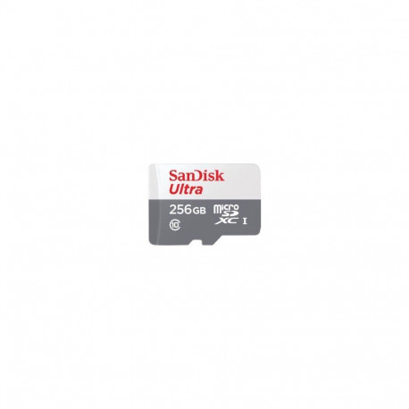 SANDISK BY WESTERN DIGITAL MEMORY MICRO SDXC 256GB UHS-I/SDSQUNR-256G-GN6TA SANDISK