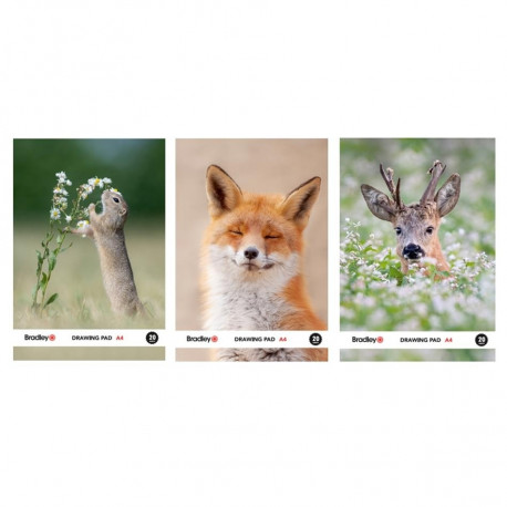Bradley joonistusplokk A4, 20 lehte, 150 g, Hans van Duijn