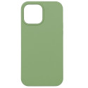 Evelatus Apple iPhone 12 Pro Max Premium Soft Touch Silicone Case Mint