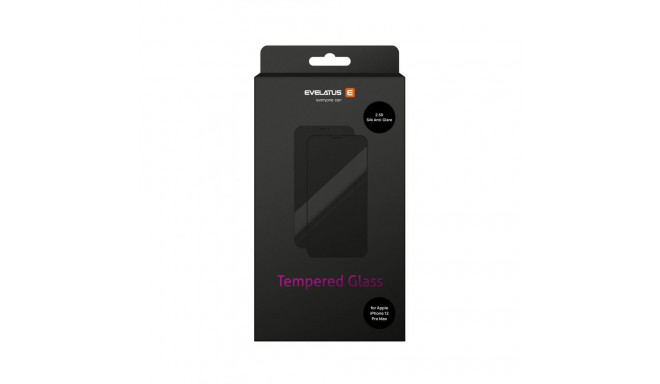 Evelatus Apple Apple iPhone 12 Pro Max 6.7' Matte 2.5D Silk Cover Japan Glue Glass Anti-Static