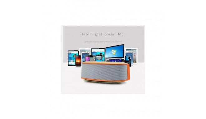Jiteng Universal Bluetooth Speaker E-312 Grey