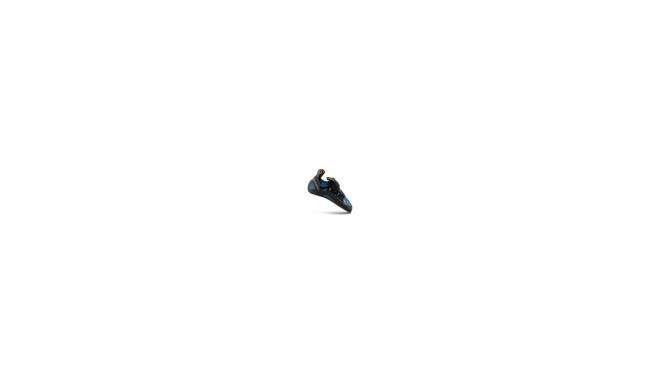 Tarantula kosmiline sinine kloon