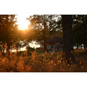 Nikon Nikkor Z DX 16-50mm f/2.8 VR objektiiv Nikon Nikkor Z DX 16-50mm f/2.8 VR objektiiv