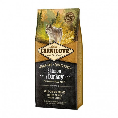 Dog Food - CARNILOVE Salmon & Turkey Adult Large Breed 4kg Gluten-Free