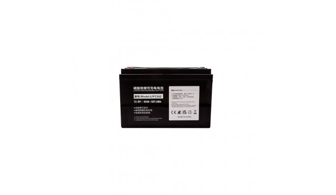Battery Lithium Iron Phosphate LiFePO4 12.8V, 42Ah