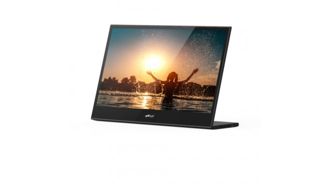 Mobile Pixels Glance 16  Screen Extension