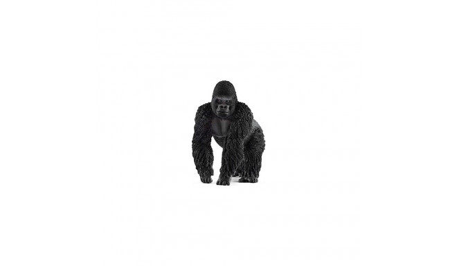 Wild Life Gorilla Männchen