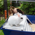 FERPLAST Rabbit 120 puur