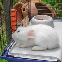 FERPLAST Rabbit 120 puur