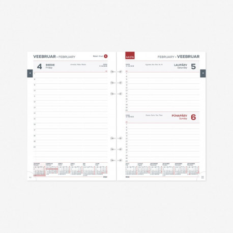 Kalendrisisu Time-Master MAXI Päev 2913866000