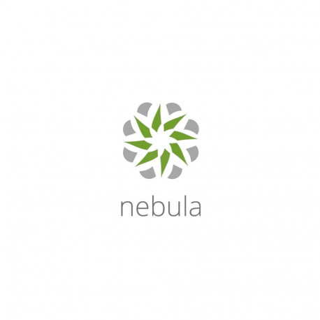 ZYXEL NEBULA LIMITED LIFETIME LICENSE 1 X NAP