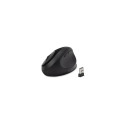 Kensington Pro Fit Ergo Wireless Mouse—Black