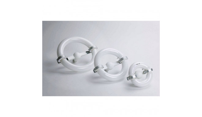 Quantuum Fomex N-Light 100W lamp only