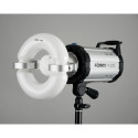 Quantuum Fomex N-Light 100W lamp only