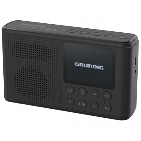 Grundig Music 6500 must