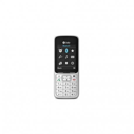 Unify OpenScape DECT Phone SL6 6.1 cm (2.4") 90 g Grey
