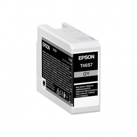 Epson UltraChrome Pro 10 ink | T46S7 | Ink cartrige | Grey