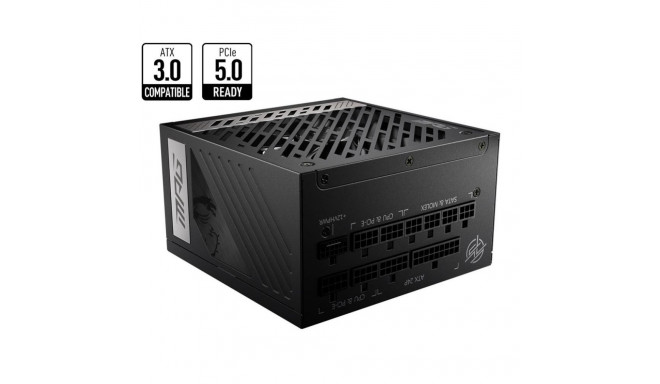 MSI toiteplokk 1000W 80 Plus Gold PFC Active MPGA1000GPCIE5