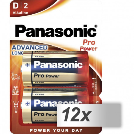 12x2 Panasonic Pro Power Mono D LR 20 sisekarp