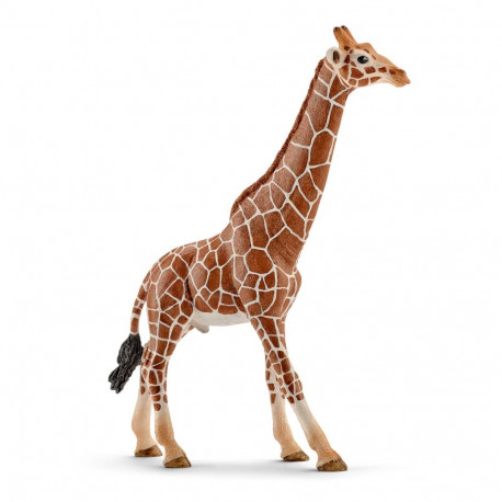 SCHLEICH WILD LIFE Giraffe, Male