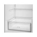 Refrigerator Indesit