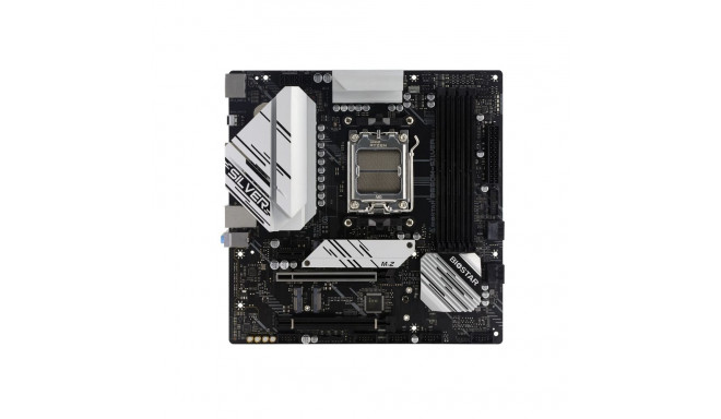 Biostar mainboard B650M-SILVER AM5