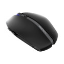 CHERRY GENTIX BT, mouse (black)