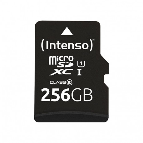 microSDXC-mälukaart 256GB UHS-I U1 Class 10 performance, must