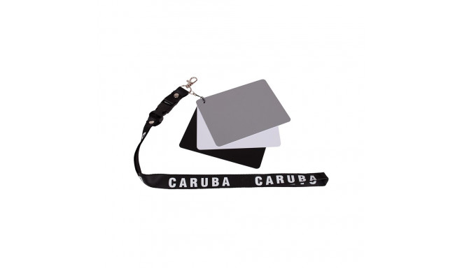 Caruba Digitale Grijskaart DGC 2