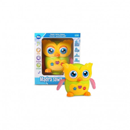 Wise owl E-Edu