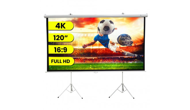 Extralink Projection Screen 120", 16:9, 266x149cm, PVC, semi-automatic rolling