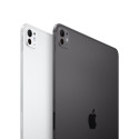 13-inch iPad Pro M5 Wi-Fi + Cellular 256GB with standard glass - Space Black