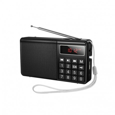 Portable radio Hoco HI50 black