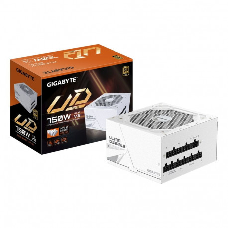 GIGABYTE UD750GM PG5 V2 ICE Power Supply Unit- PCIe Gen 5.1, 80 PLUS Gold, Fully Modular Design, 120
