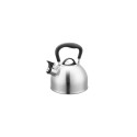 1.8L kettle MR-1336 MAESTRO