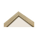 Focus Willow Oak 10X15