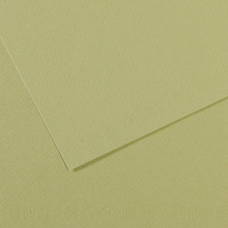 Pastellpaber MiTeintes 50x65/160g 480 heleroheline