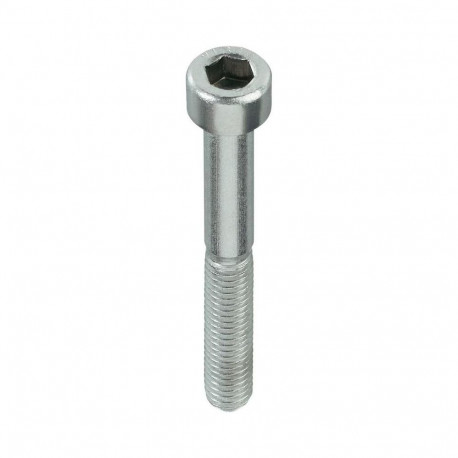 BOLT DIN912 M8X50 ZN (100)