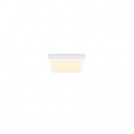 Philips Functional Magneos Ceiling Light Square 12W