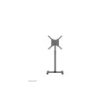 Neomounts NS-FS100BLACK Floor stand 10-55"