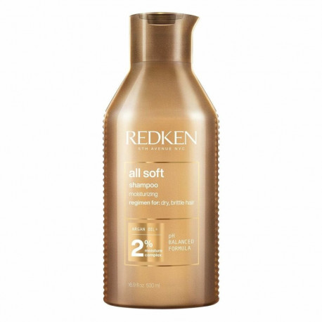 Niisutav šampoon Redken P1996800 500 ml