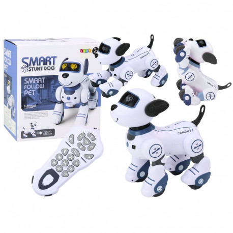 Interaktiivne kaugjuhitav robotkoer, tantsib ja täidab käsklusi, sinine