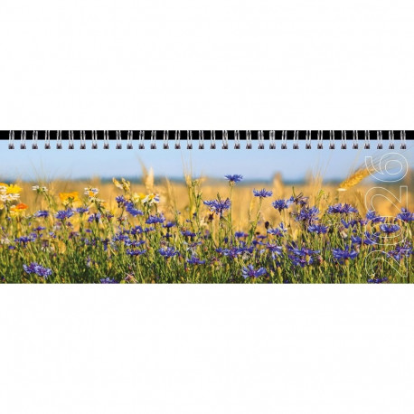 Lauakalender Classic Pilt 3, kartongkaaned 2026a.