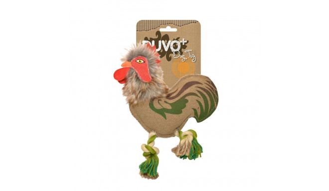Dogtoy Canvas rooster