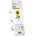 Click & Grow Smart Refill Mini sunflower 3pcs