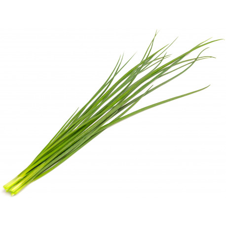 Click & Grow Smart Garden Refill Green onion 3pcs