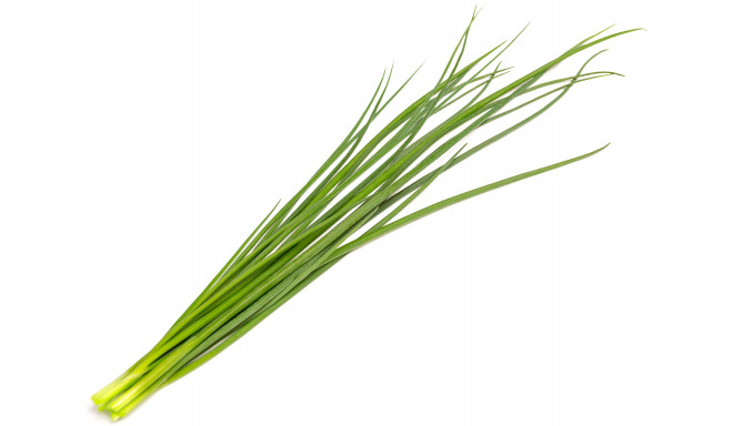 Click & Grow Smart Garden Refill Green onion 3pcs