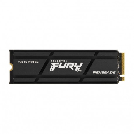 Kingston Technology 2000G RENEGADE PCIe 4.0 NVMe SSD W/ HEATSINK