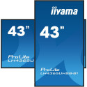 "109cm/43"" (3840x2160) iiyama ProLite LH4365UHSB-B1 16:9 4K IPS Touch 8ms 60Hz 24/7 2xHDMI DP LAN W