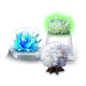 4M DIY set Crystal science